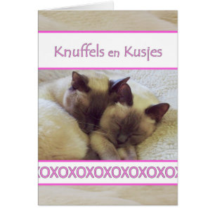 Cartão Knuffels en Kusjes, Hug e Kiss em neerlandês