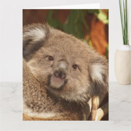 Cartão Koala