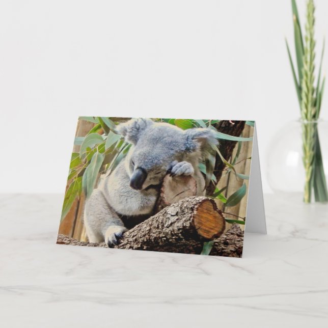 Cartão Koala Bear Sleeping Get Well (Frente)