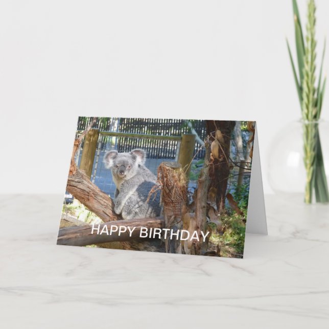 Cartão Koala Birthday (Frente)