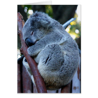 Cartão Koala da torta de Cutie