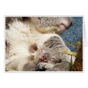 Cartão koala e bebê