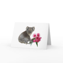 Koala e Eucalyptus