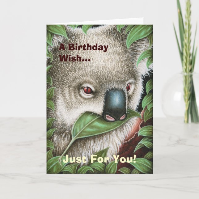 Cartão Koala Munching a Leaf Birthday Card (Frente)
