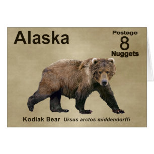 Cartão Kodiak Bear
