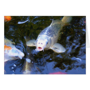 Cartão Koi Carp