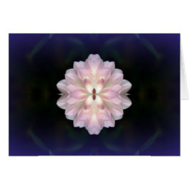 Cartão Koinonia "Fellowship On the Path"