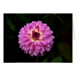 Cartão Koinonia "Fellowship On the Path"