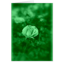 Koinonia "Fellowship On the Path"