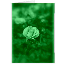 Cartão Koinonia "Fellowship On the Path"