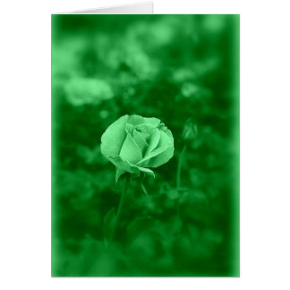 Cartão Koinonia "Fellowship On the Path"