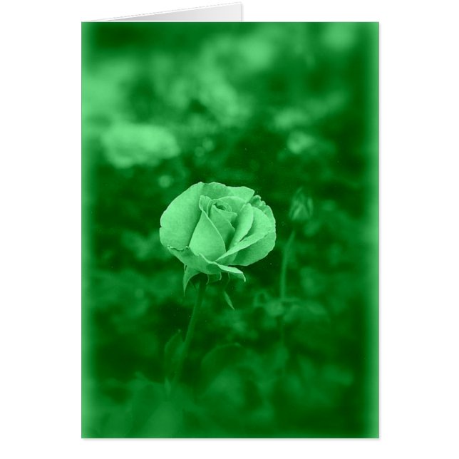 Cartão Koinonia "Fellowship On the Path" (Frente)