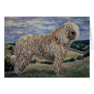Cartão Komondor