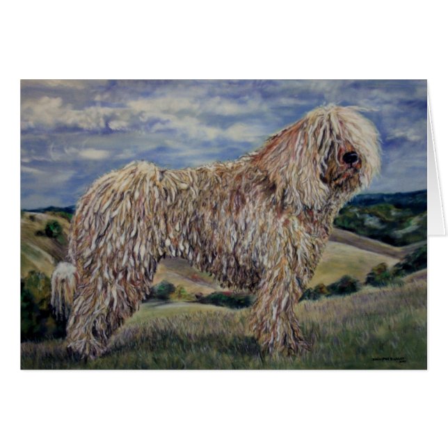Cartão Komondor (Frente Horizontal)