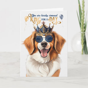 Cartão Kooikerhondje Dog King para um dia de aniversário