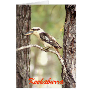 Cartão Kookaburra