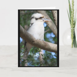 Cartão Kookaburra Greetings from Australia Greeting Card