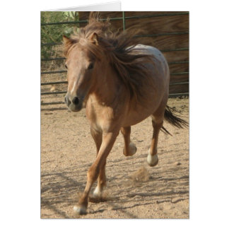 Cartão Kota correndo