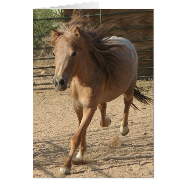 Cartão Kota correndo (Frente)