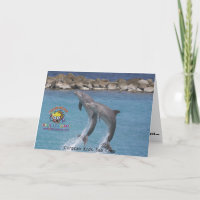 ksc_dolphin_, Campo de Mar de Curacao Kids