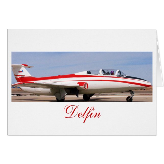 Cartão L29 Delfin2, Delfin (Frente horizontal)