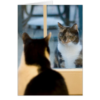 Cartão Lá Fora, Procurando