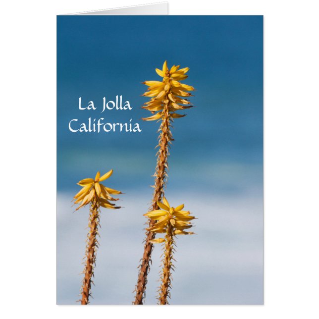Cartão La Jolla Agave e Ocean (Frente)