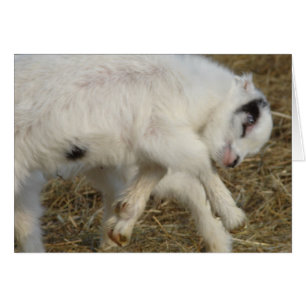 Cartão La Mancha Billy Kid No Play