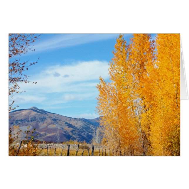 Cartão La Platas Autumn (Frente horizontal)