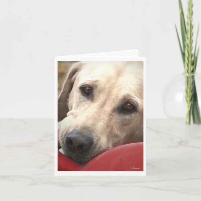 Cartão Laboratório amarelo (Frente)