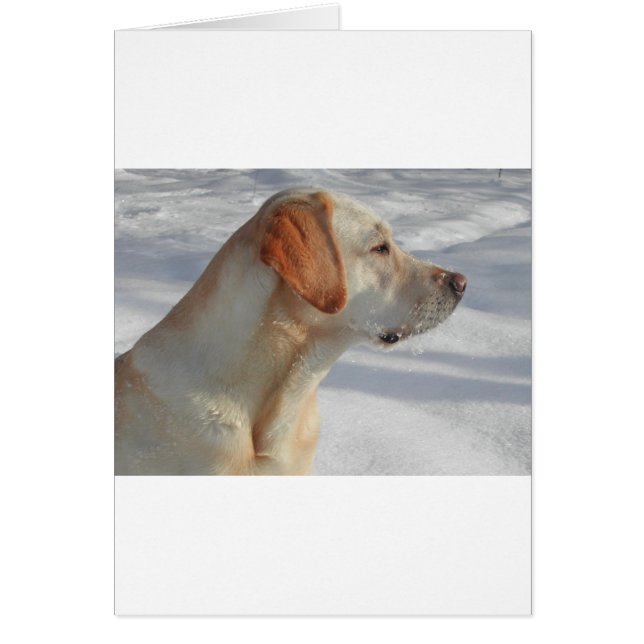 Cartão laboratório amarelo 4 (Frente)