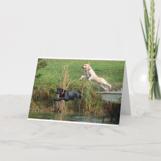 Cartão Laboratórios (Frente)