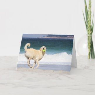 Cartão Labradoodle - Feliz Dia na Praia
