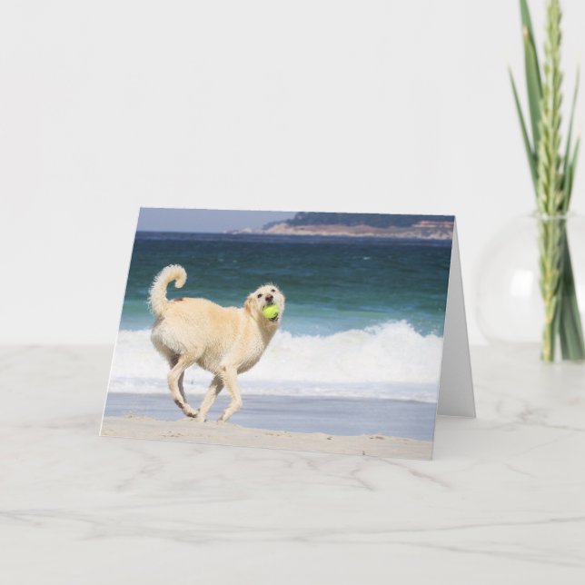 Cartão Labradoodle - Feliz Dia na Praia (Frente)