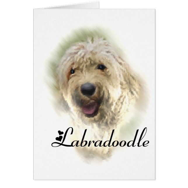 Cartão Labradoodle Lovers Gifts (Frente)