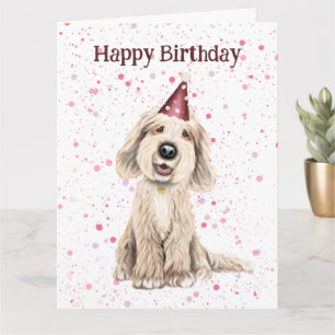 Cartão Labradoodle, Parabéns