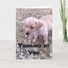 Cartão Labrador Amarelo pensando em você