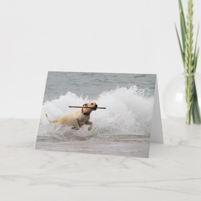 Cartão Labrador - Amarelo - Vá Buscar! (Frente)