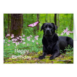 Cartão Labrador Black Dog Forrest Butterfly Aniversário