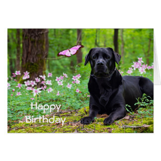 Cartão Labrador Black Dog Forrest Butterfly Aniversário