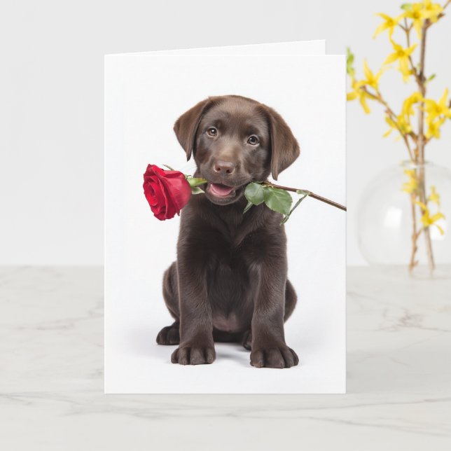 Cartão Labrador Chocolate do Dia dos Namorados (Flor Amarela)