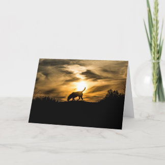 Cartão Labrador Dog at Sunset Greetings Card