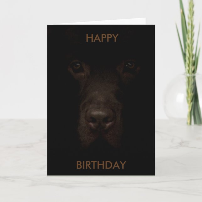 Cartão Labrador Dog Birthday Card (Frente)
