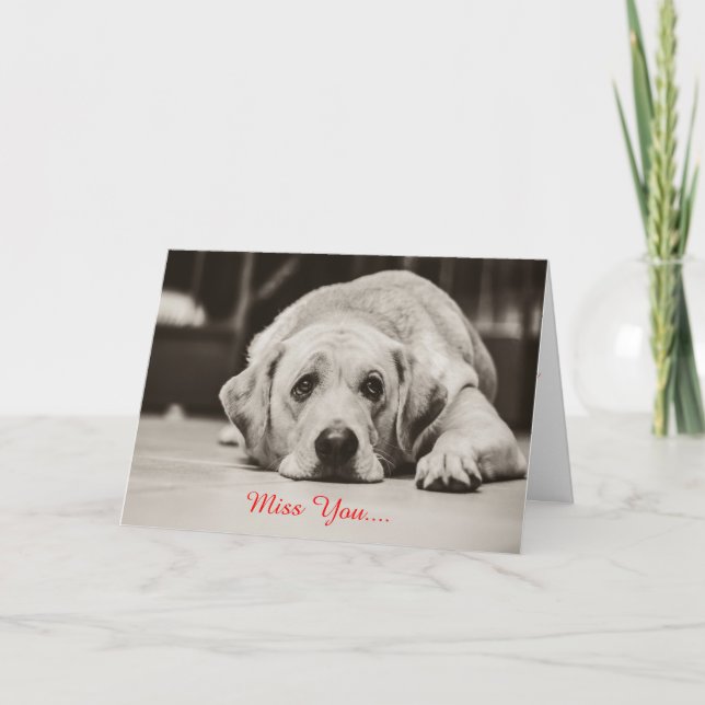 Cartão Labrador Dog Miss you Greeting Card (Frente)