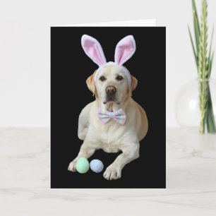 Cartão Labrador Labrador amarelo de Páscoa com orelhas de