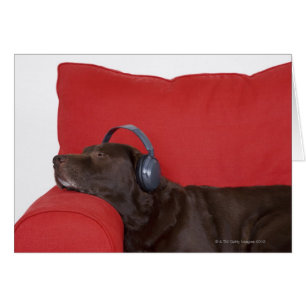 Cartão Labrador que veste os fones de ouvido que