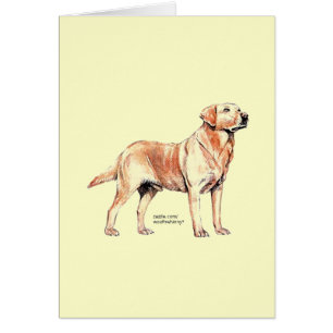 Cartão Labrador Retriever