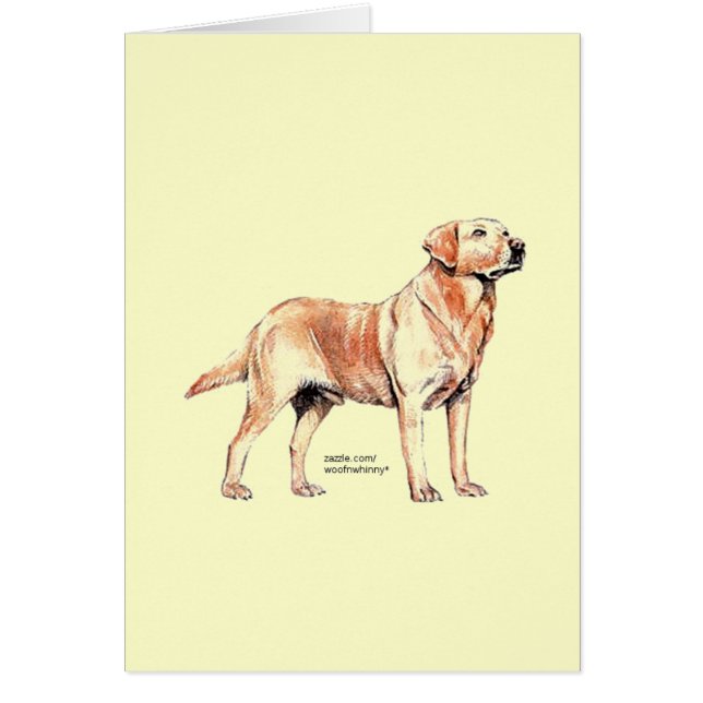 Cartão Labrador Retriever (Frente)