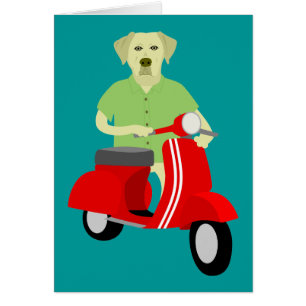 Cartão Labrador retriever amarelo