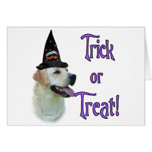 Cartão Labrador Retriever (amarelo) Trick